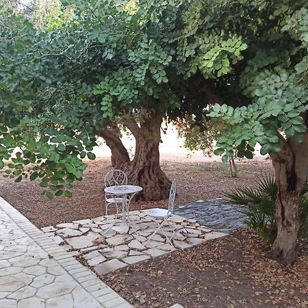Casa Degli Spartani Pina Шикли Екстериор снимка