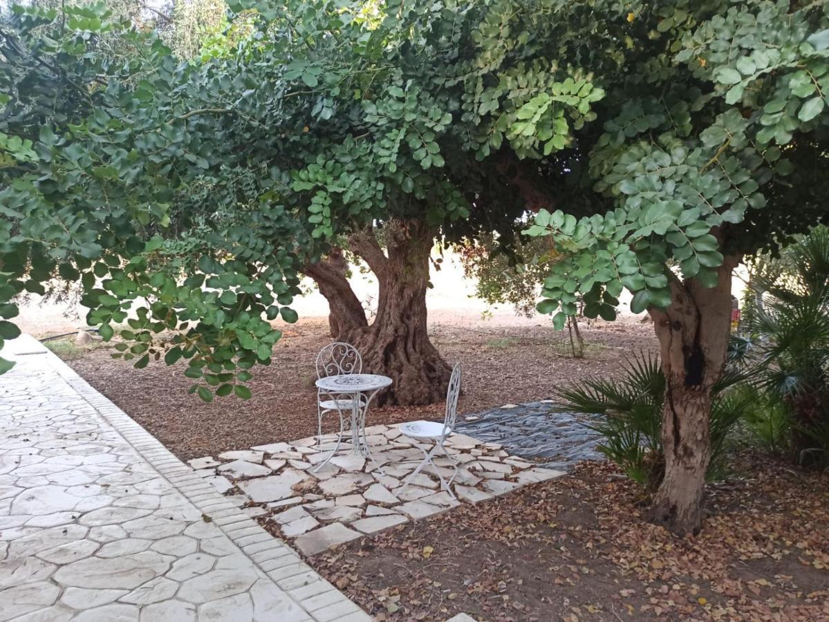 Casa Degli Spartani Pina Шикли Екстериор снимка
